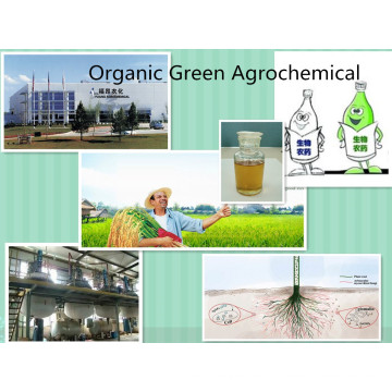 Agro Chemical, Pflanzenwachstum Cytokinin Cppu Forchlorfenuron Kt-30 68157-60-8